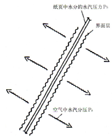 高速紙機旋轉(zhuǎn)接頭